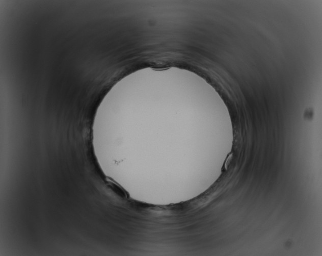 X0000102860284200809081313