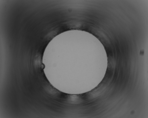 X0000102860287200809081313