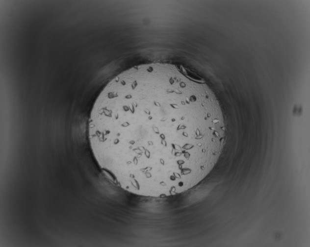 X0000102860288200809081313