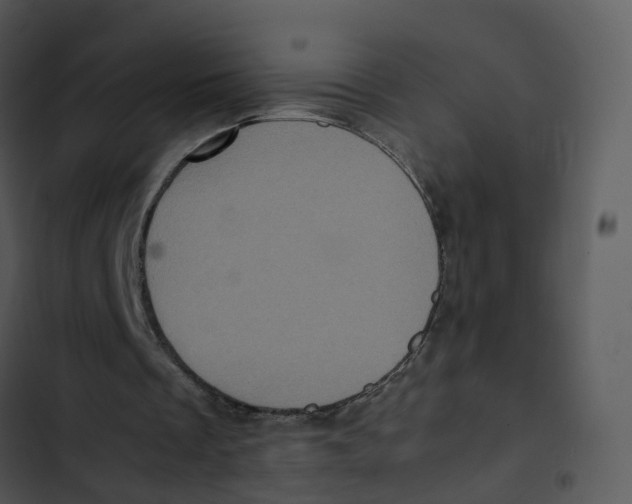 X0000102860289200809081312