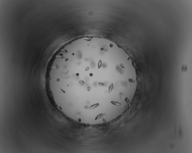 X0000102860290200809081312