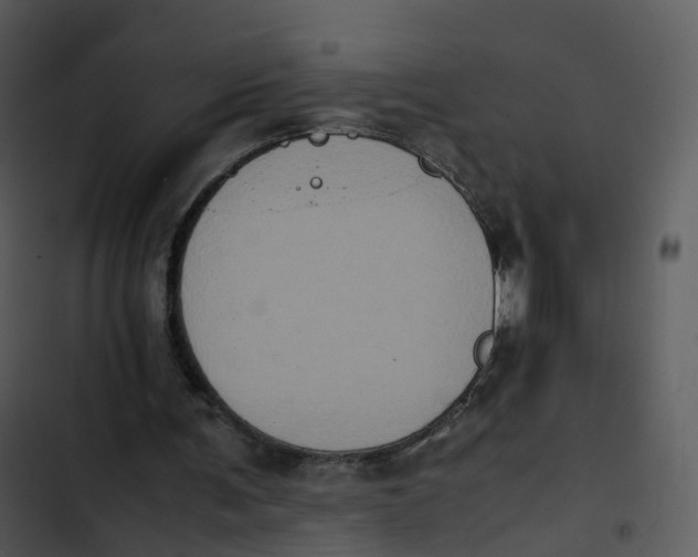 X0000102860291200809081312