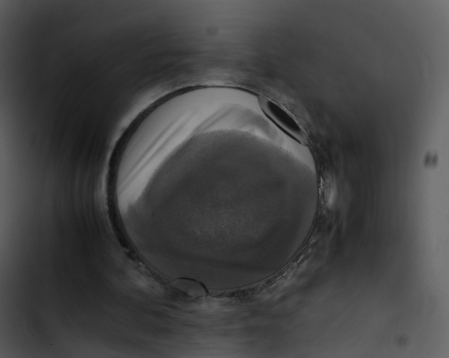 X0000102860292200809081312