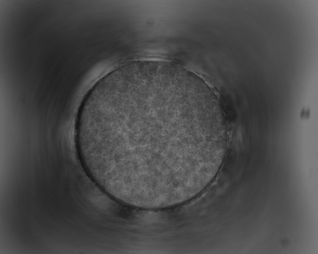 X0000102860293200809081312