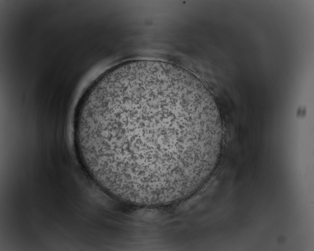 X0000102860294200809081312