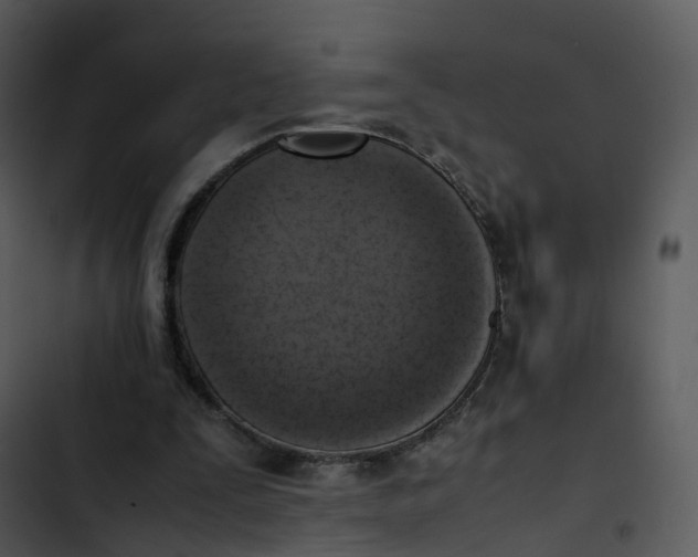 X0000102860295200809081312