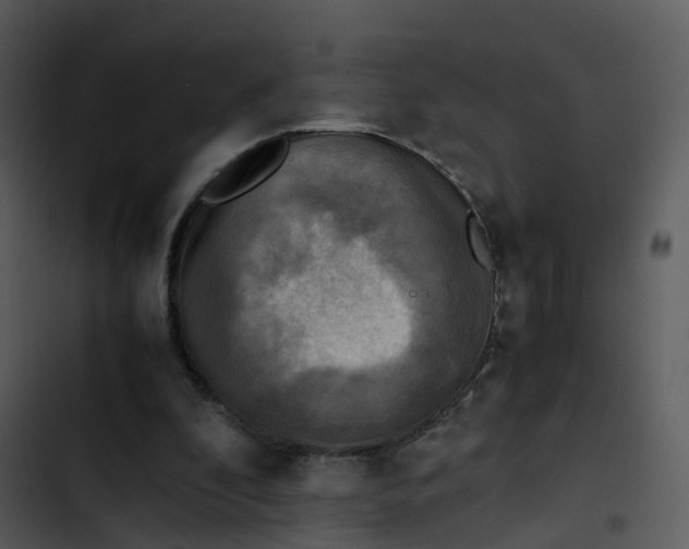 X0000102860296200809081312