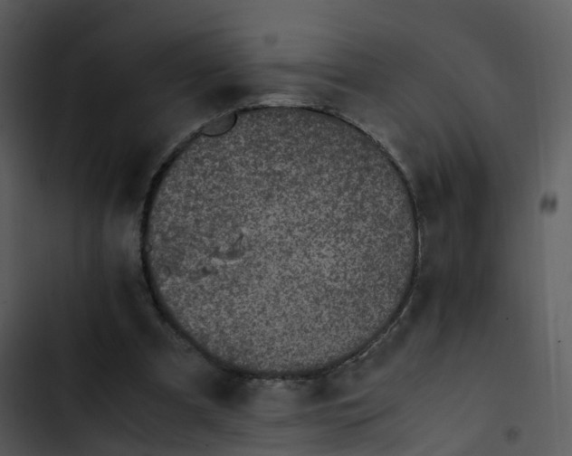 X0000102860297200809081312