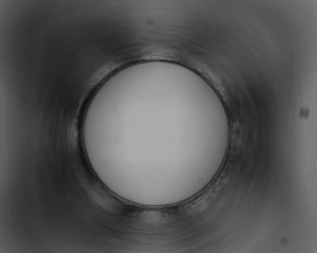 X0000102860298200809081312