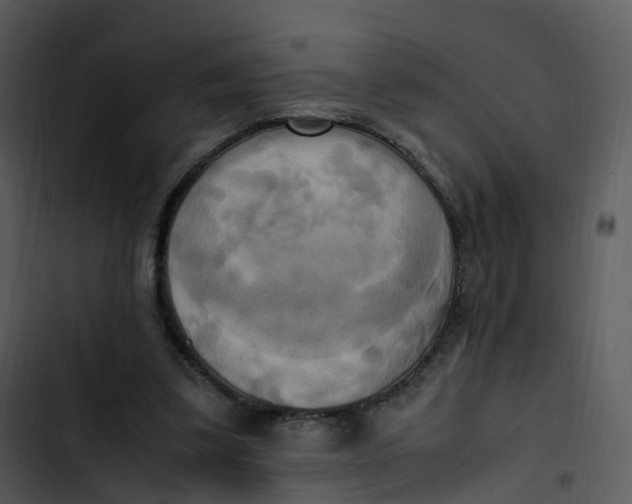 X0000102860299200809081312