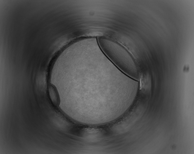 X0000102860300200809081312