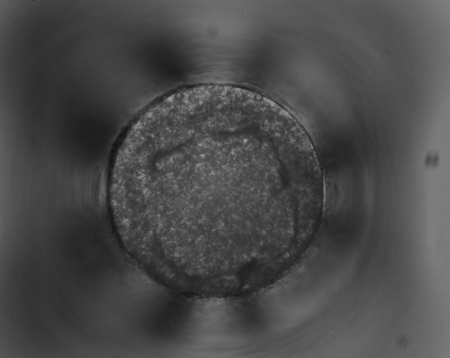 X0000102860301200809081312