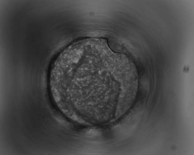 X0000102860303200809081312