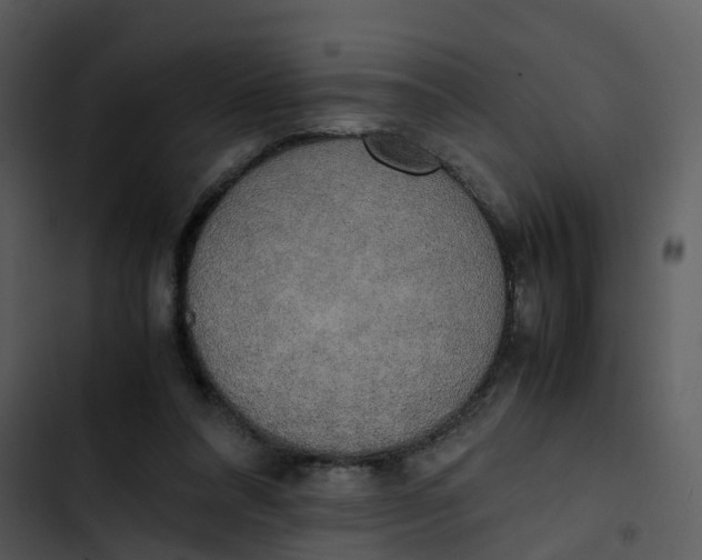 X0000102860304200809081312