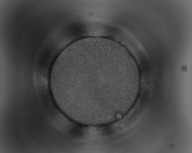 X0000102860305200809081312