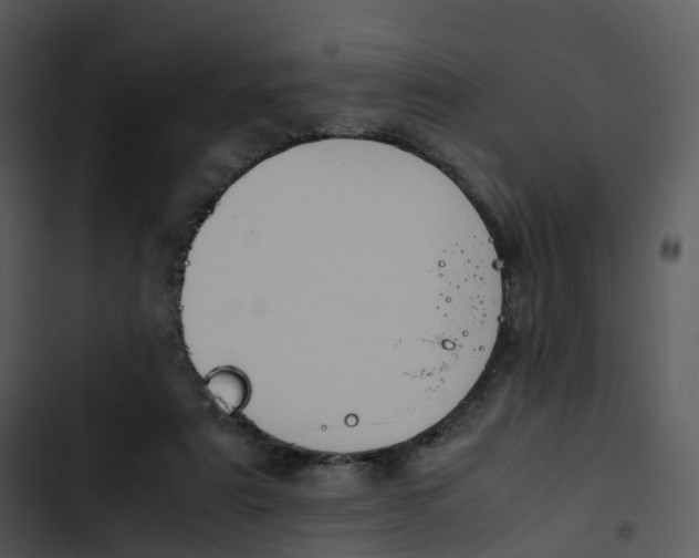 X0000102860307200809081312