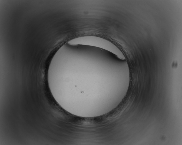 X0000102860308200809081312