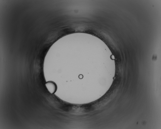 X0000102860311200809081312