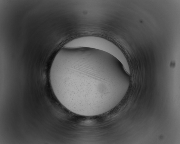 X0000102860312200809081312