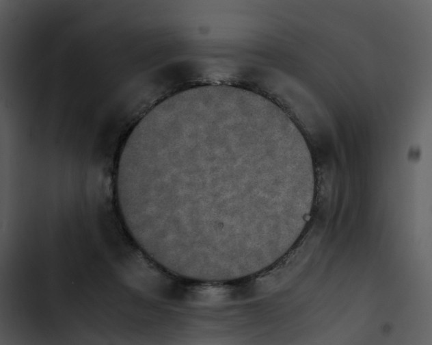 X0000102860313200809081312