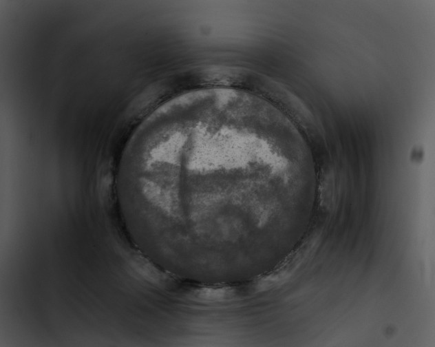 X0000102860314200809081312