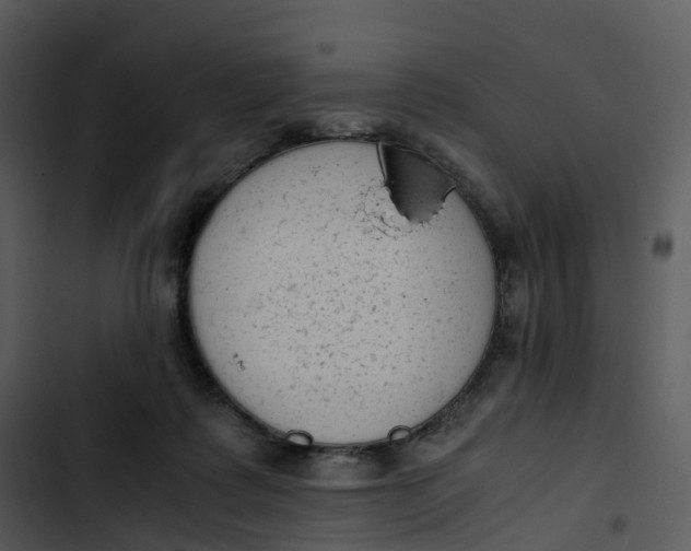 X0000102860315200809081312