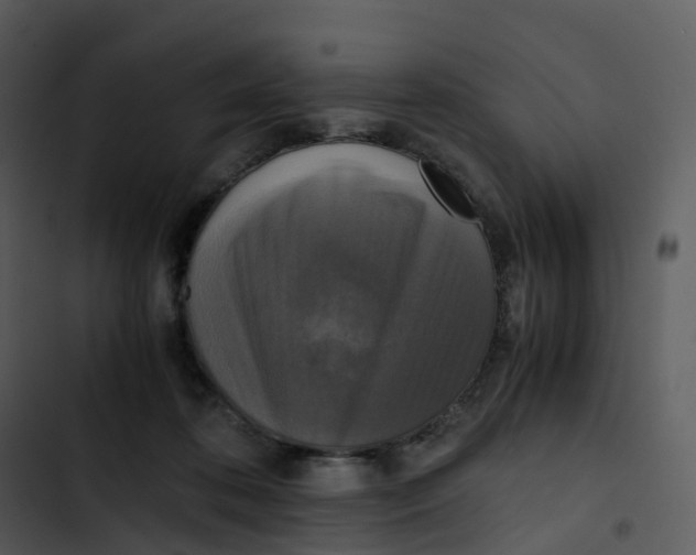 X0000102860316200809081312