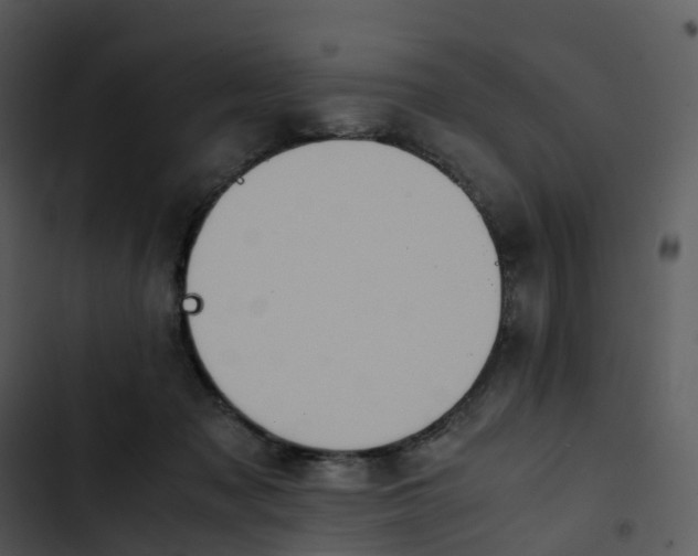 X0000102860317200809081312