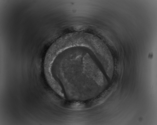 X0000102860319200809081312