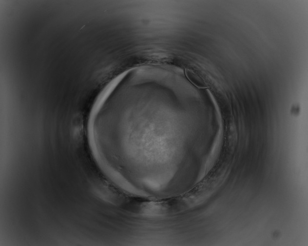 X0000102860320200809081312