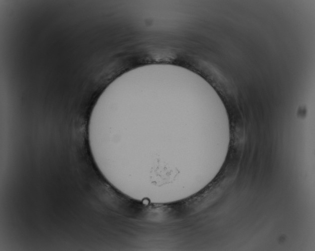 X0000102860321200809081312