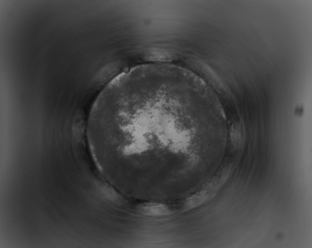 X0000102860322200809081312