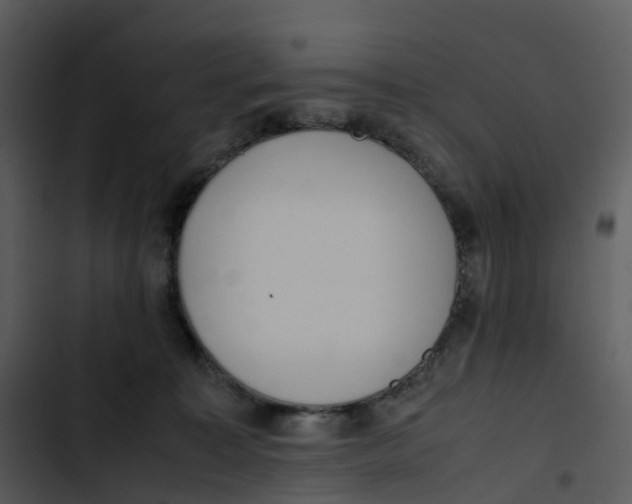 X0000102860323200809081312