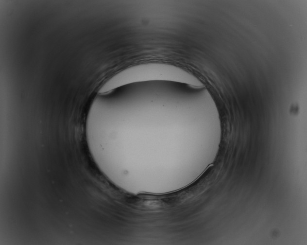 X0000102860324200809081312