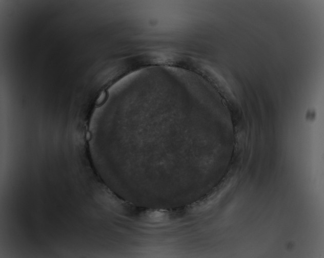 X0000102860325200809081312