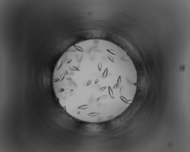 X0000102860326200809081312