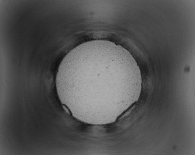 X0000102860327200809081312