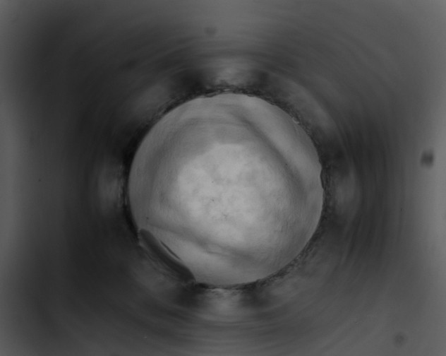 X0000102860328200809081312