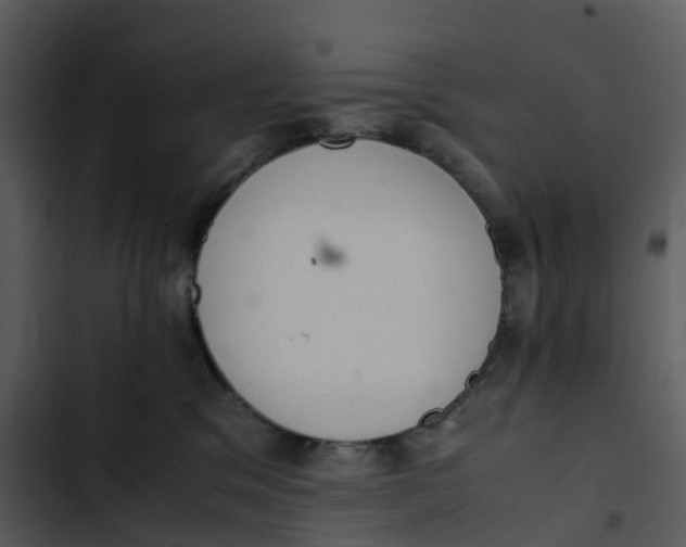 X0000102860329200809081312