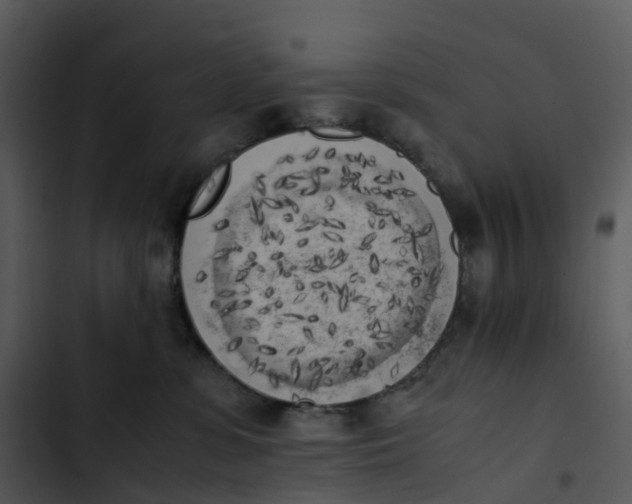 X0000102860331200809081312