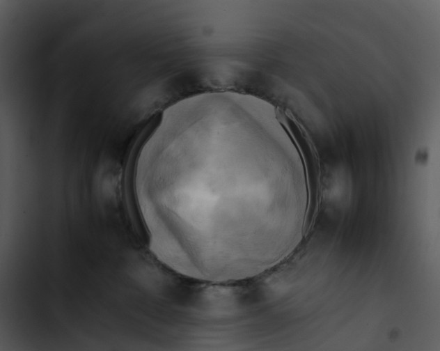 X0000102860332200809081312