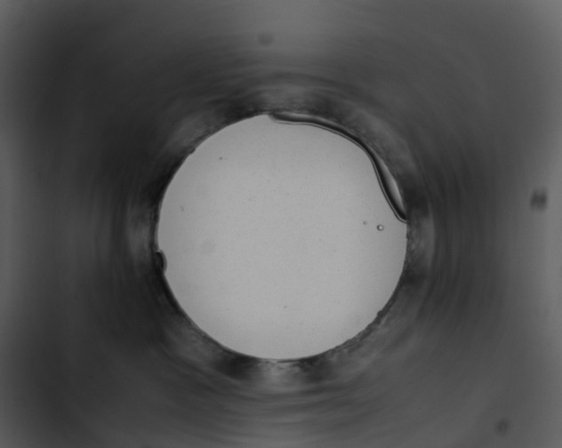 X0000102860333200809081312