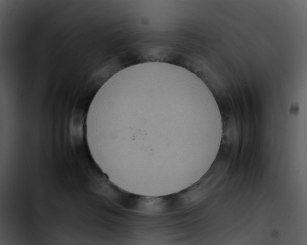 X0000102860334200809081312