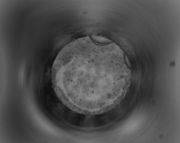 X0000102860335200809081312