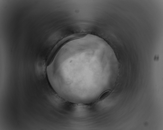 X0000102860336200809081312