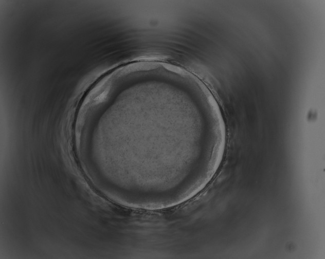 X0000102860337200809081311