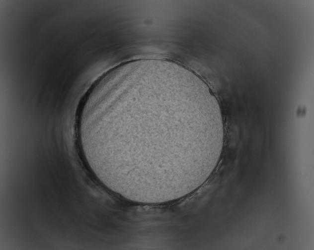 X0000102860338200809081311