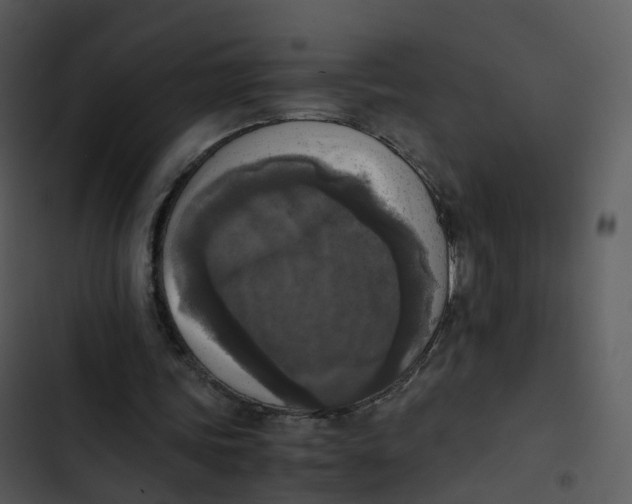 X0000102860339200809081311