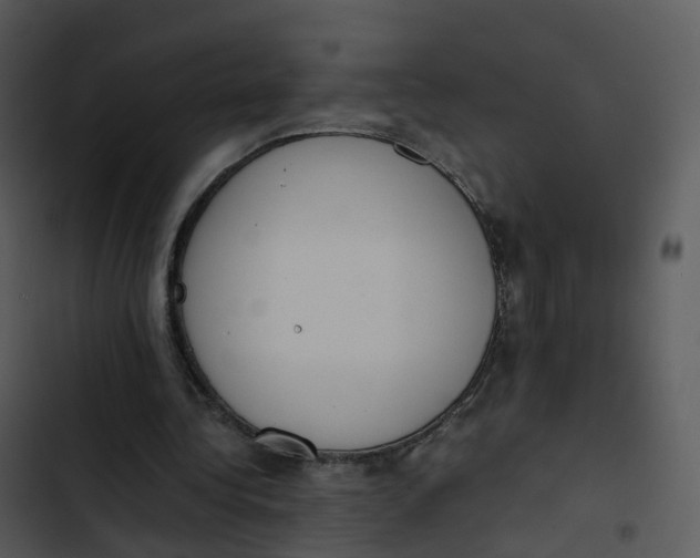 X0000102860340200809081311