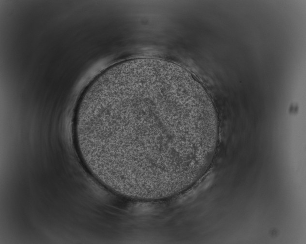 X0000102860341200809081311